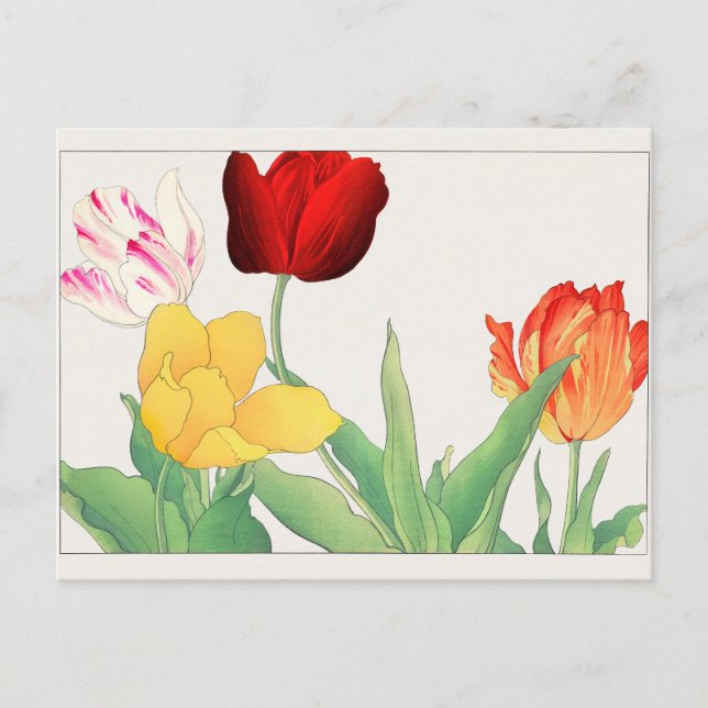 Tulip by Tanigami Konan Postcard (Front)