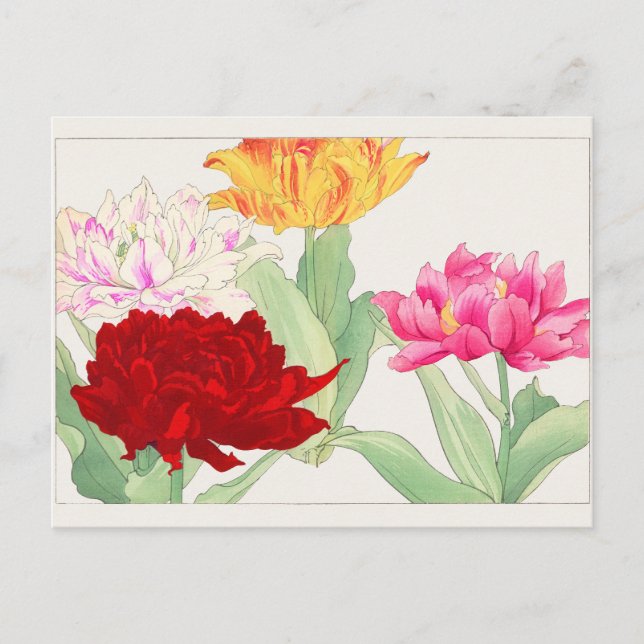 Tulip by Tanigami Konan Postcard (Front)