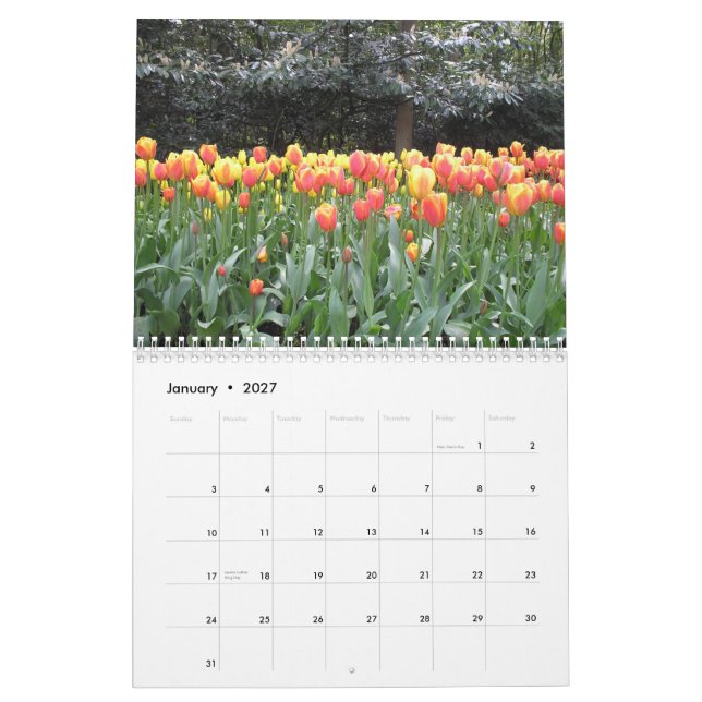 Tulip calendar (Jan 2027)