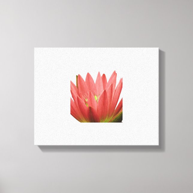 Tulip Canvas Print (Front)