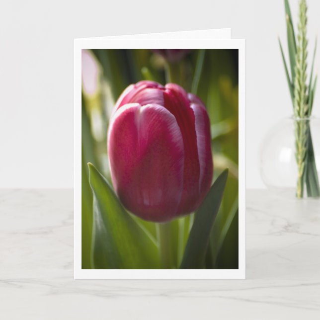 Tulip Card (Front)