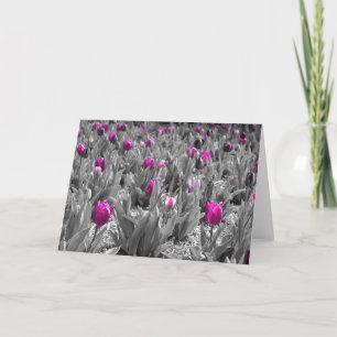 Tulip, card