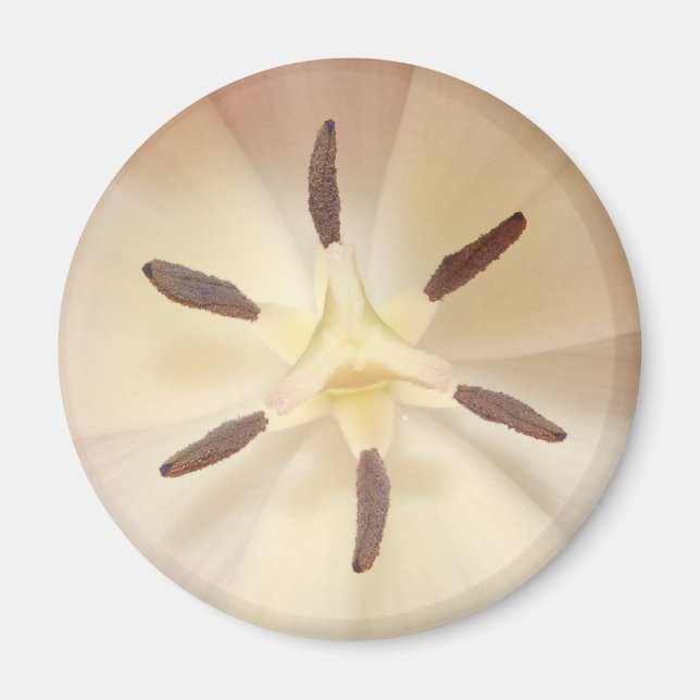 Tulip Centre Magnet (Front)