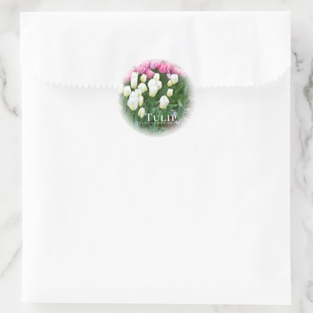 Tulip Classic Round Sticker (Bag)