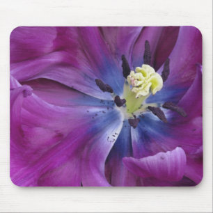 Tulip close-up, Keukenhof Gardens, Lisse, 2 Mouse Pad