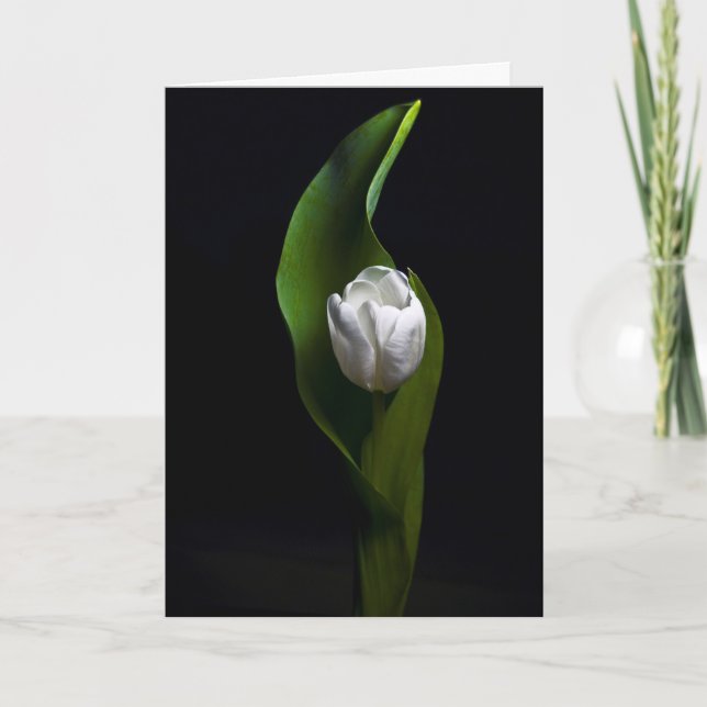 Tulip Designs Holiday Card (Front)