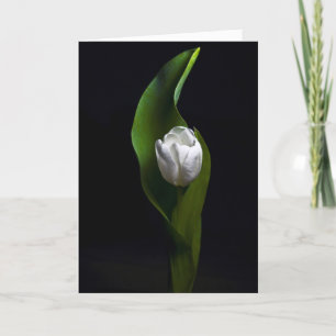 Tulip Designs Holiday Card