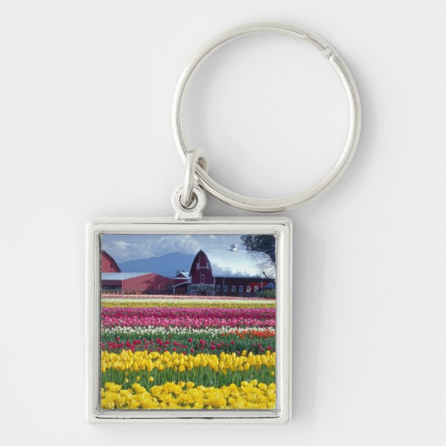 Tulip display field keychain (Front)