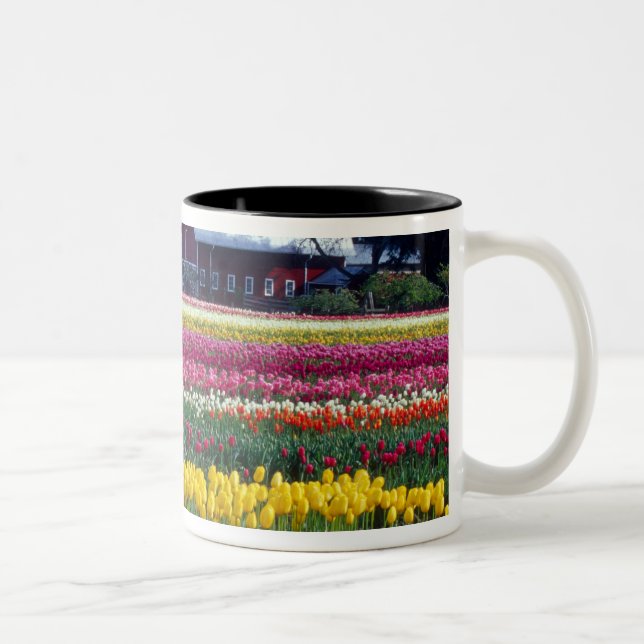 Tulip display field Two-Tone coffee mug (Right)
