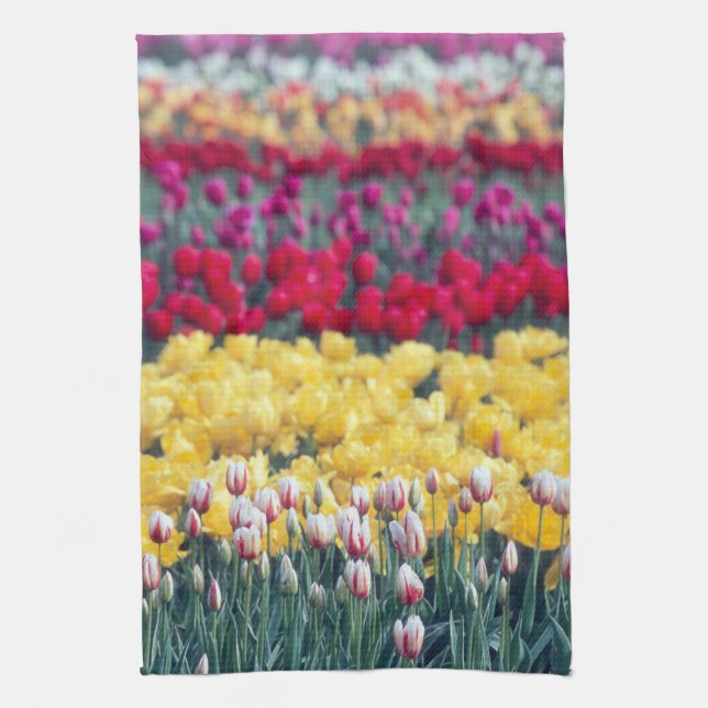Tulip display garden in the Skagit valley, Kitchen Towel (Vertical)