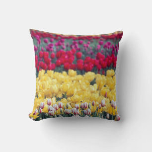 Tulip display garden in the Skagit valley, Throw Pillow