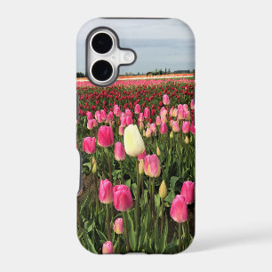 Tulip Farm in Oregon