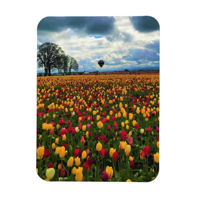 Tulip Farm in Oregon Magnet (Vertical)