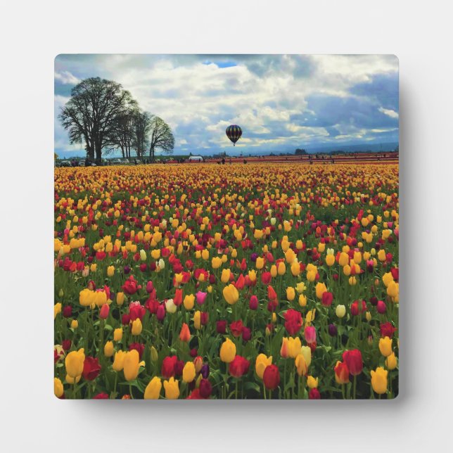 Tulip Farm in Oregon Plaque (Front)