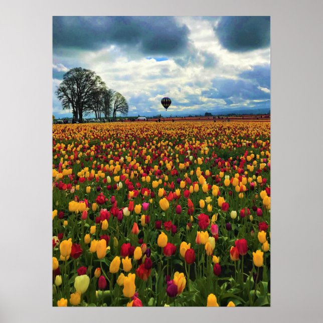 Tulip Farm in Oregon Poster (Front)