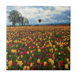 Tulip Farm in Oregon Tile