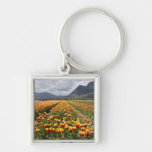 Tulip Farm near Agassiz, British Columbia, Keychain