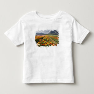 Tulip Farm near Agassiz, British Columbia, Toddler T-shirt