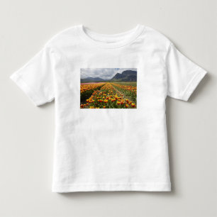 Tulip Farm near Agassiz, British Columbia, Toddler T-shirt