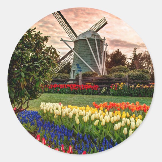 Tulip Festival Classic Round Sticker (Front)