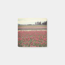 Tulip Festival Post It Notes