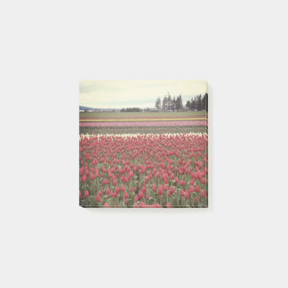 Tulip Festival Post It Notes