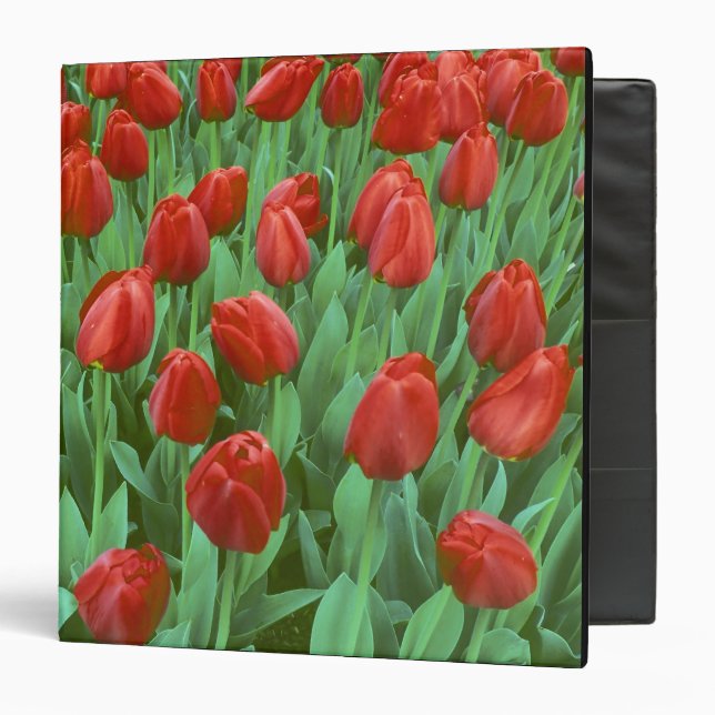 Tulip field blooms in the spring. binder (Front/Inside)