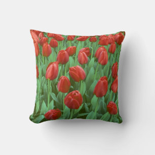 Tulip field blooms in the spring. throw pillow