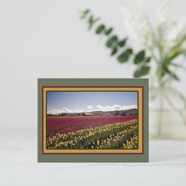 Tulip Field Postcard (Standing Front)