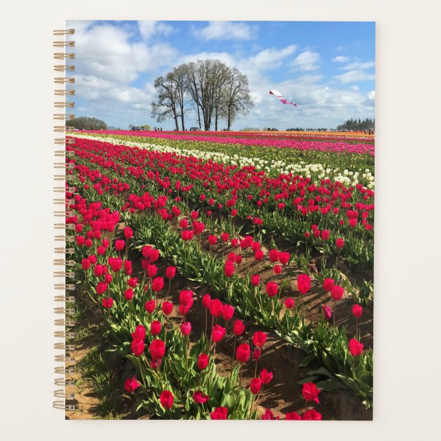 Tulip Field with Kite (Devant)