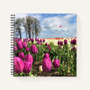Tulip Field with Kite, Oregon Notebook