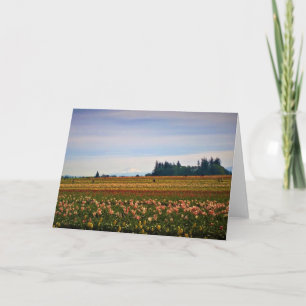 Tulip Field with Mt. Hood, Oregon Card