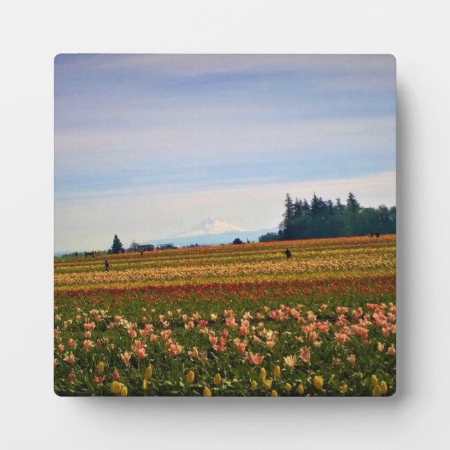 Tulip Field with Mt. Hood, Oregon Plaque (Front)