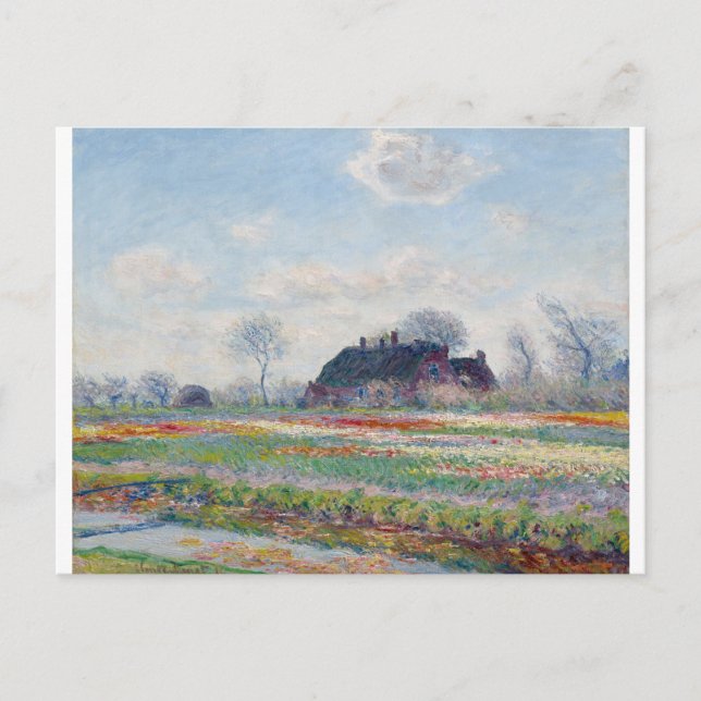 Tulip Fields at Sassenheim by Claude Monet Postcard (Front)