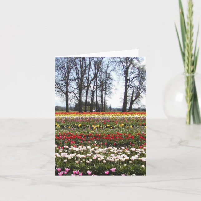 Tulip Fields greeting card (Front)