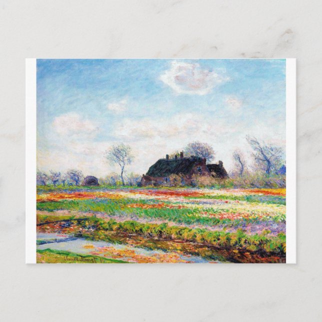 Tulip Fields in the Netherlands, Monet Postcard (Front)