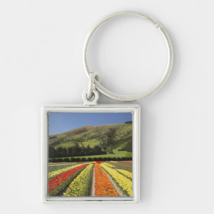 Tulip Fields, near Tapanui, West Otago, South 2 Keychain