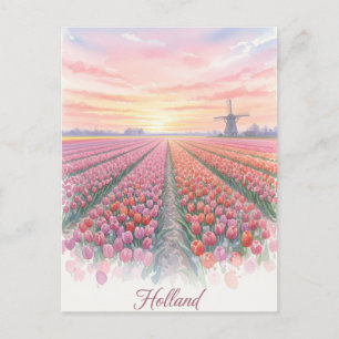 Tulip Fields Windmill Holland Netherlands Postcard