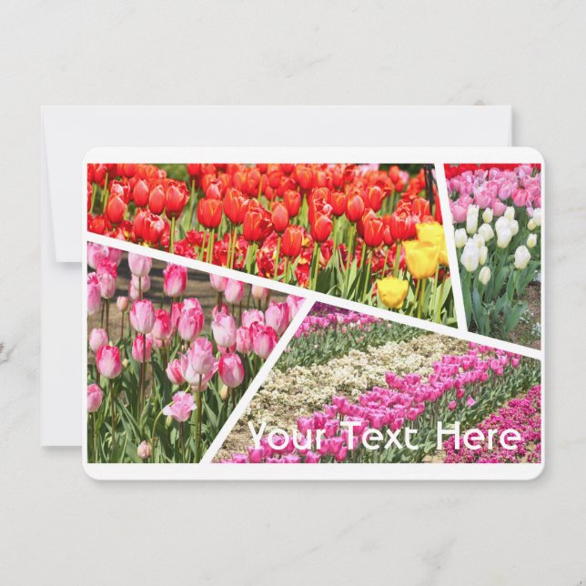Tulip [Flat Card] (Front)
