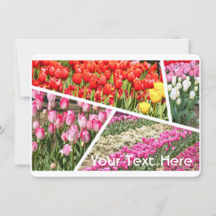 Tulip [Flat Card]