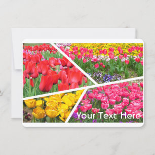 Tulip [Flat Card]