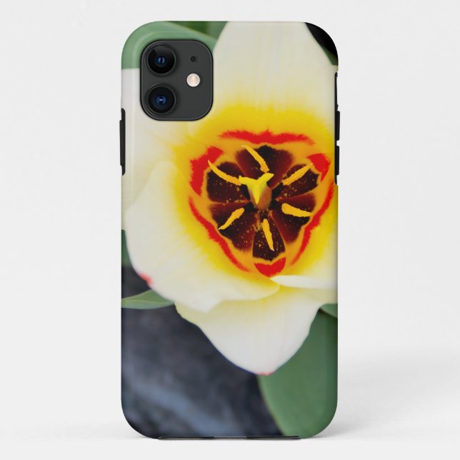 Tulip flower Case-Mate iPhone case (Back)