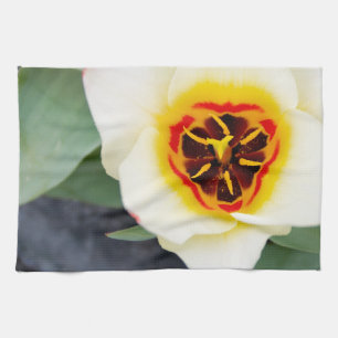 Tulip flower kitchen towel