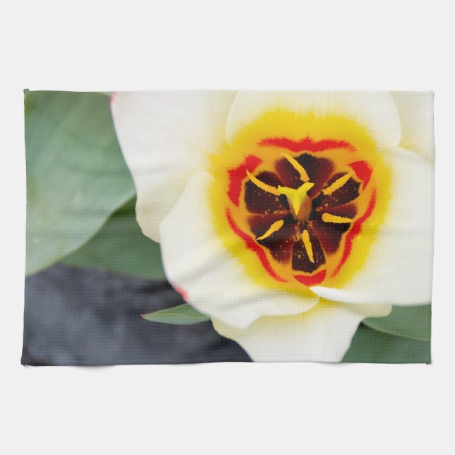 Tulip flower kitchen towel (Horizontal)