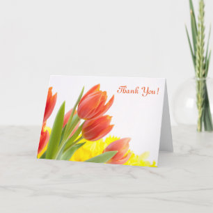 Tulip Flower Petals Orange Nature Thank You