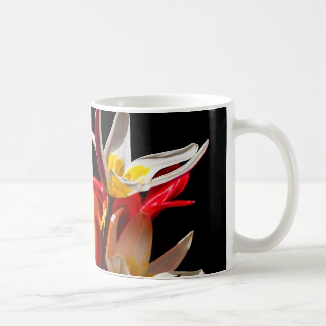 Tulip flowers against black background coffee mug (Right)