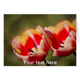 Tulip Flowers Card