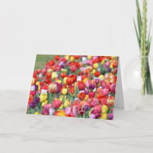 Tulip Flowers Greeting Card