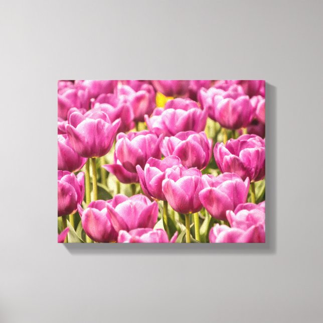 Tulip Flowers in the Spring Photo Canvas Print (Front)