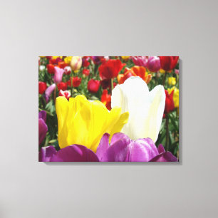 Tulip Flowers panel canvas art prints Tulips